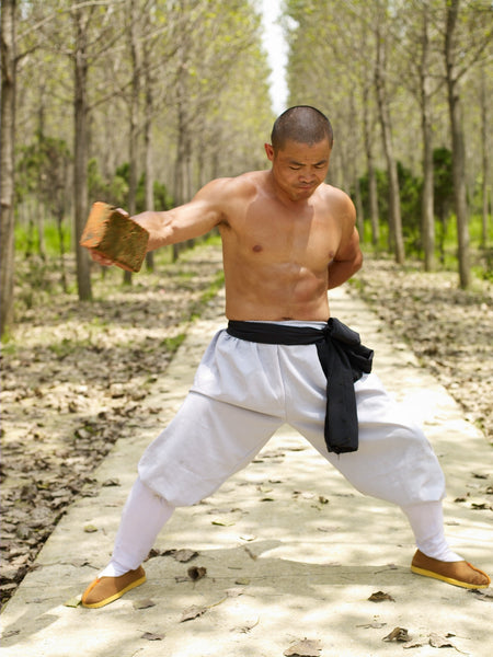 Ultimate Conditioning For Martial Arts.pdf
